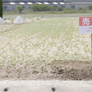 セットバックって何？物件を再建築可能な状態にするための手順を解説